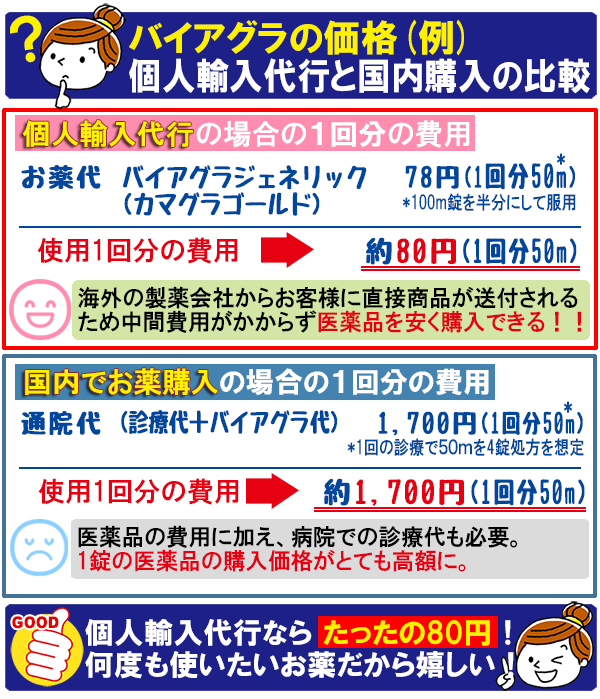 個人輸入代行を利用した場合の費用は？