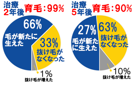 デュマンによる育毛の経年効果